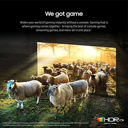 65-Inch Neo QLED 8K Mini LED Smart TV, Titan Black X4886