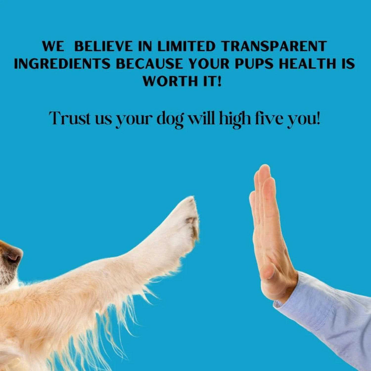 Beef Broth Dog Treat X604