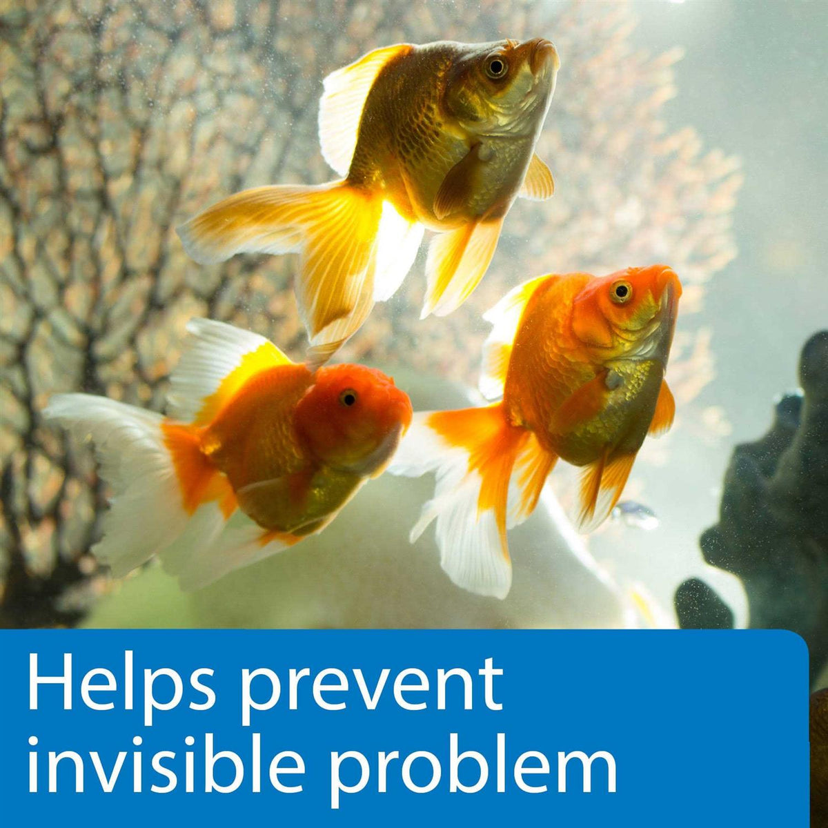 5 in 1 Aquarium Test Strips R4754