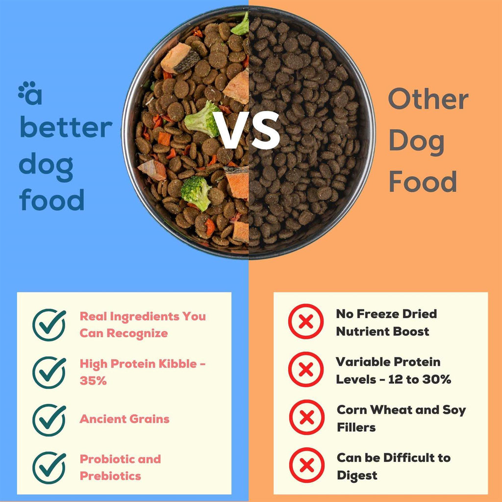 Salmon Raw Dog Food L487