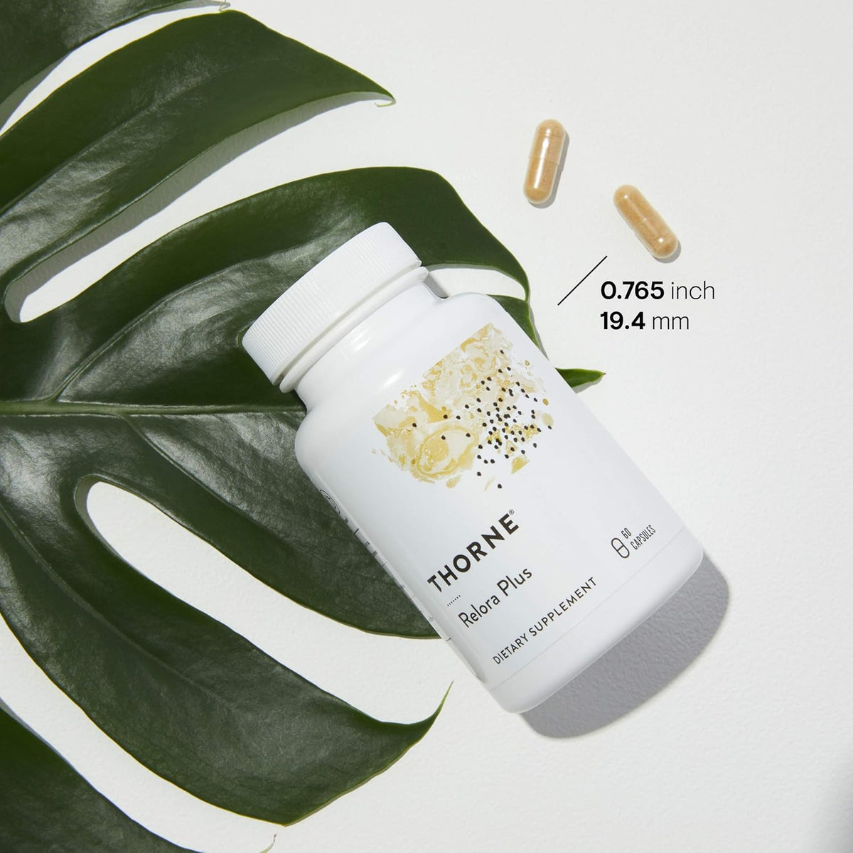 60 Capsules Craving and Stress Support O600