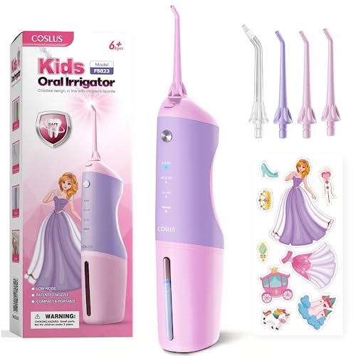 Portable Water Dental Flosser with 4 Jet Tips E941