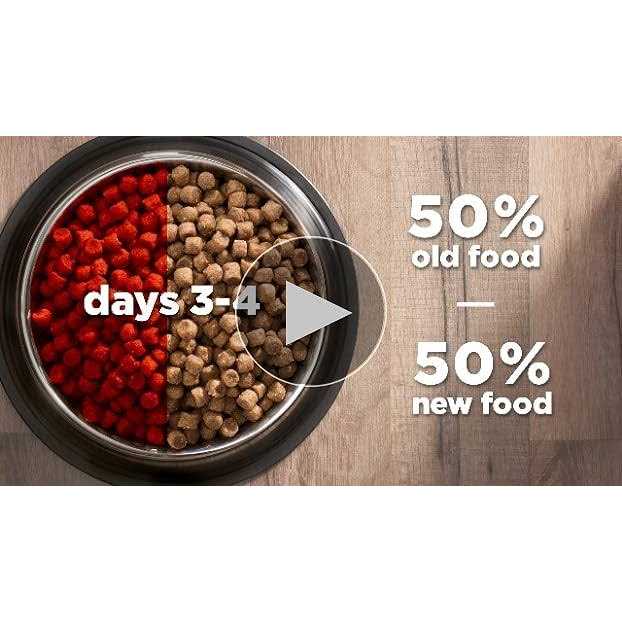 Adult Cat Dry Food Salmon R48617