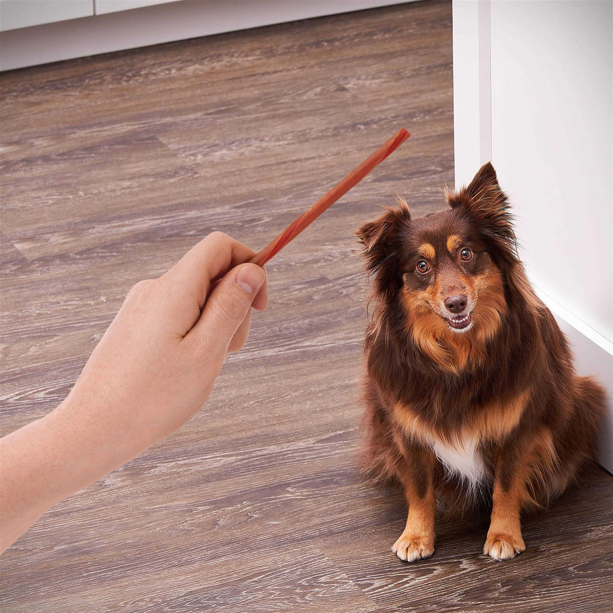 Peanut Butter Twist Sticks for Dogs D1255