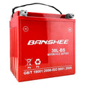 Motorcycle Battery 500cca L667899