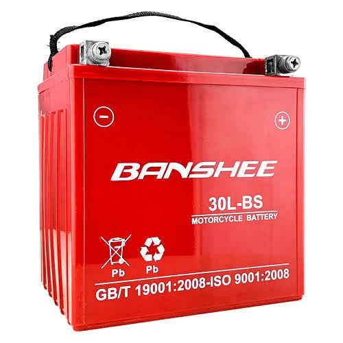 Motorcycle Battery 500cca L667899