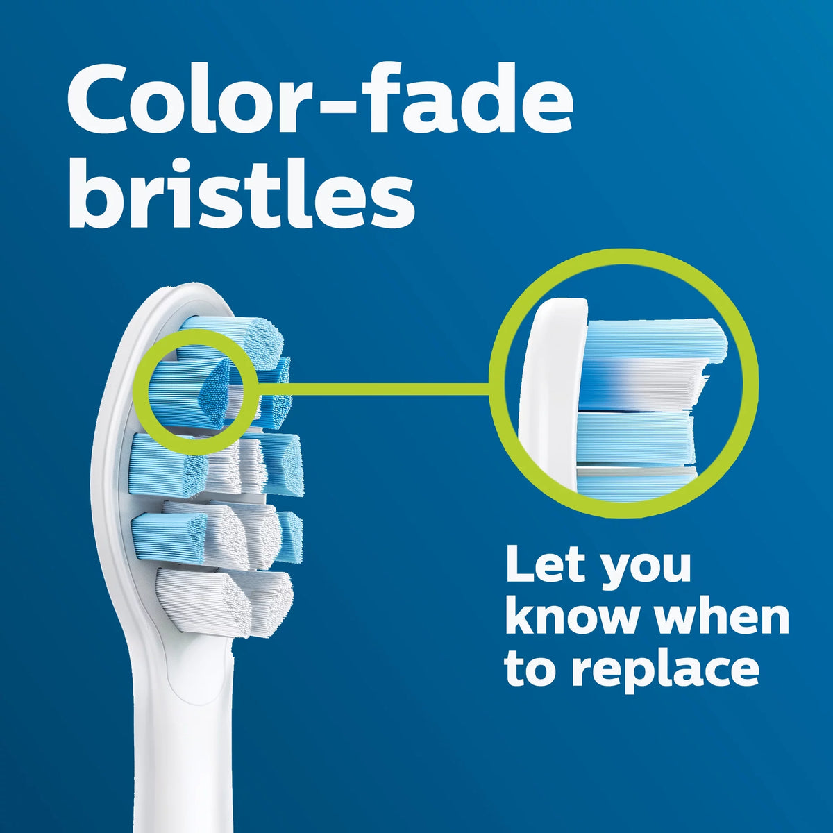 White Replacement Toothbrush Heads T94658