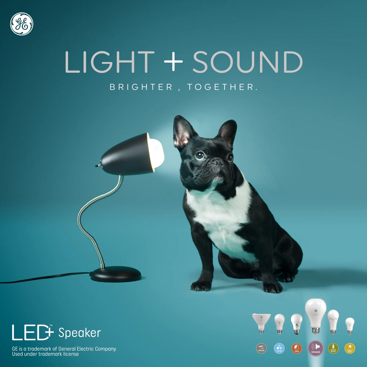 Soft White BR30 LED Light Bulb A48601