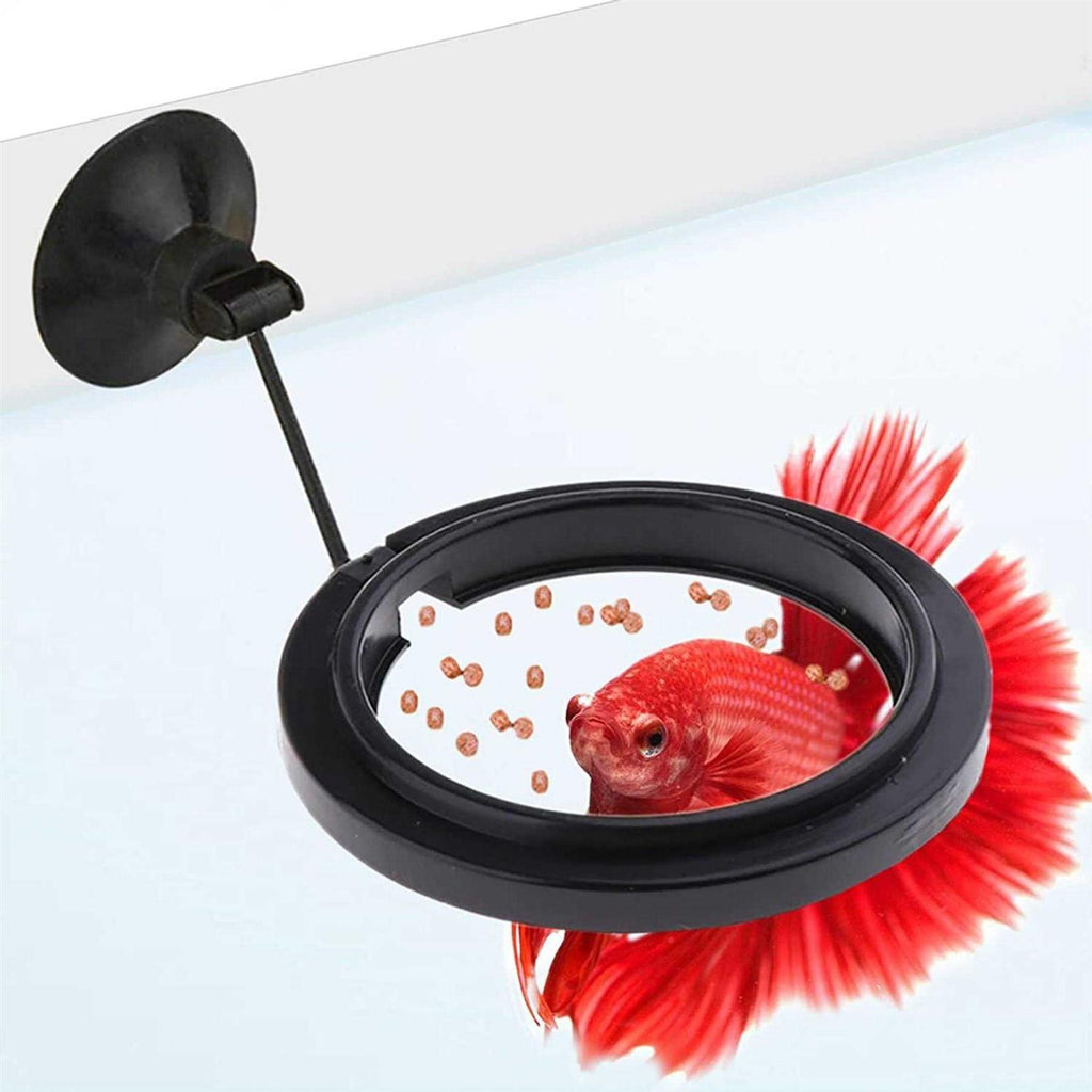 Betta & Goldfish Food Pellets & Flakes Fish Feeding Ring S944896