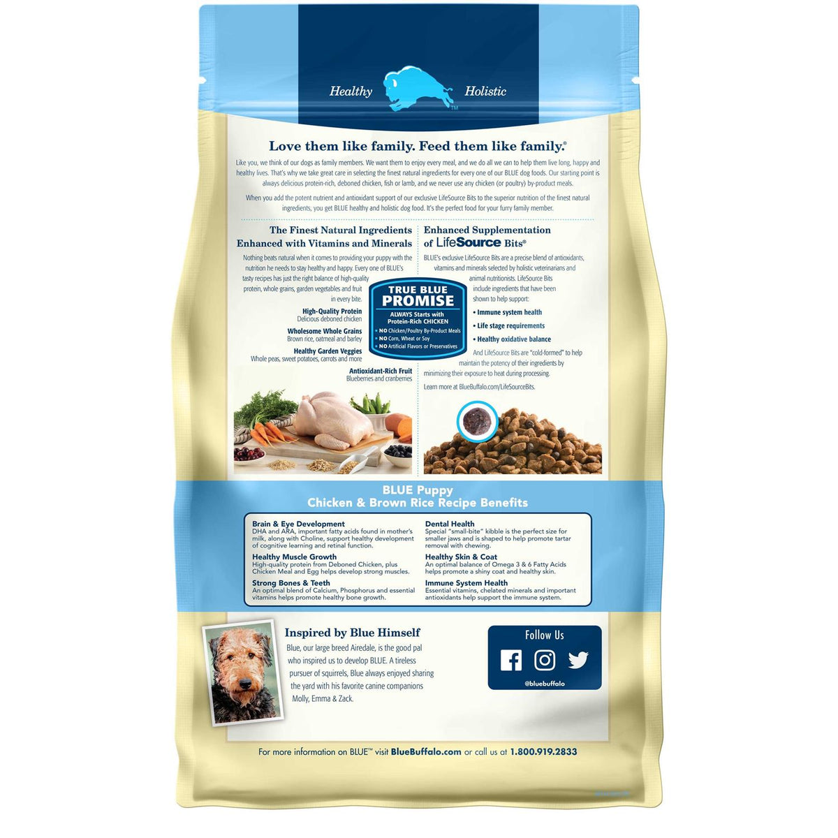 Chicken & Brown Rice Dry Puppy Dog Food X8502