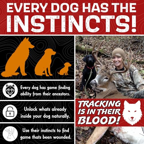 Dog Training Kit V256092