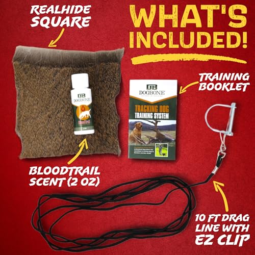 Dog Training Kit V256092