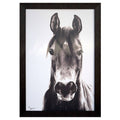 Horse Portrait S231993