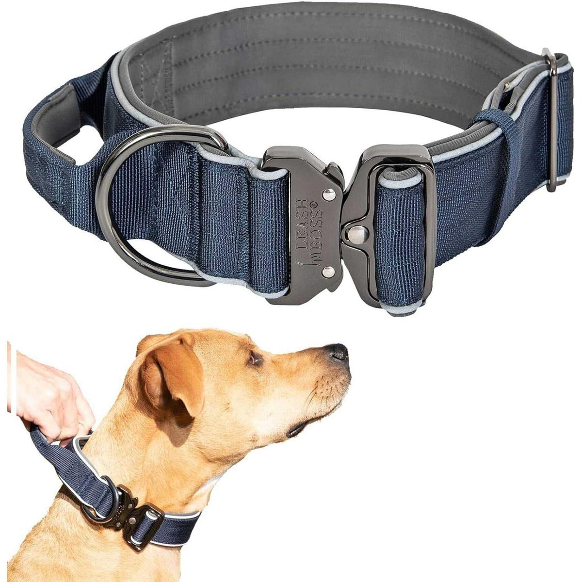 Heavy-Duty Adjustable Dog Collar with Handle T642