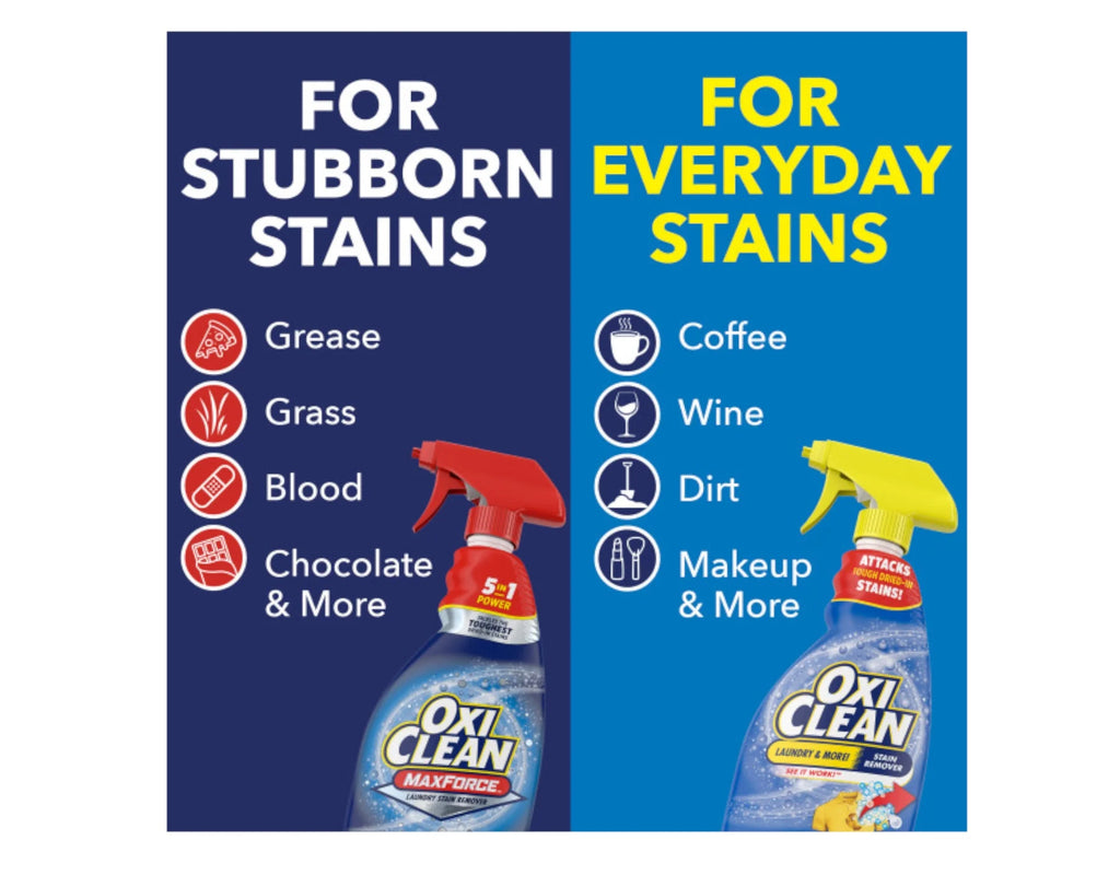 Laundry Stain Remover 12 fl oz (Pack of 4) E469808