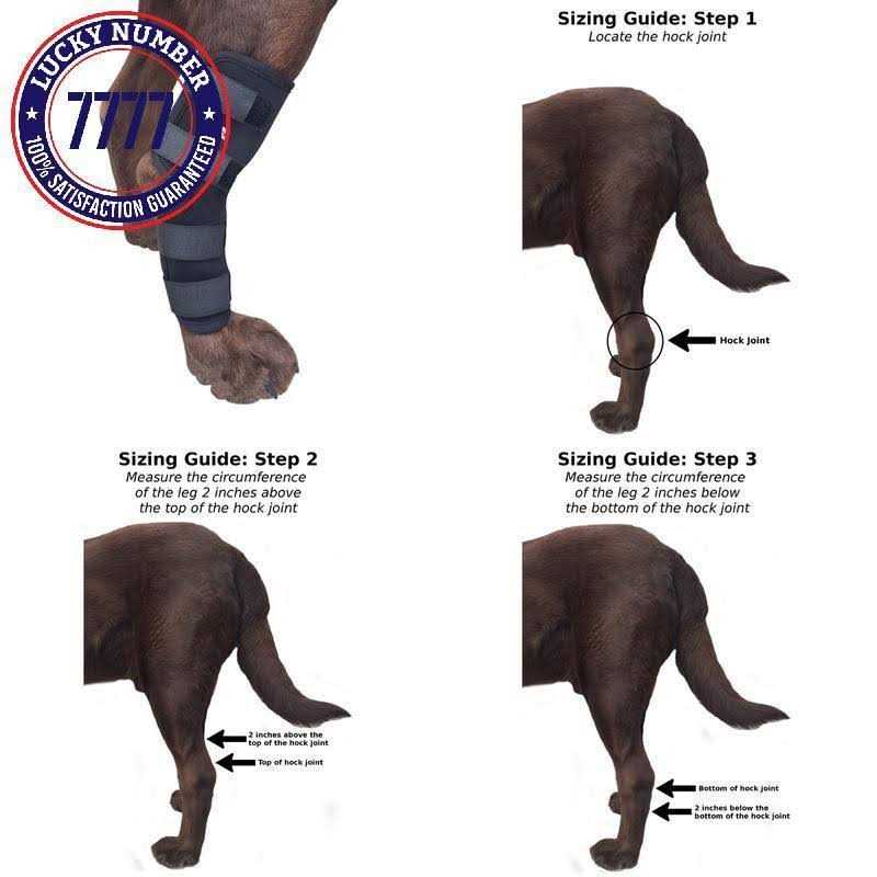 Dog Rear Leg Hock Joint Compression Wrap N8825