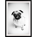 Photographic Print R86501