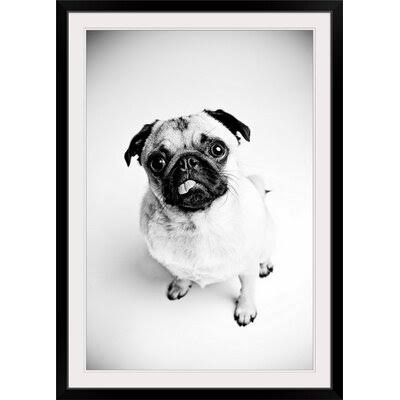 Photographic Print R86501