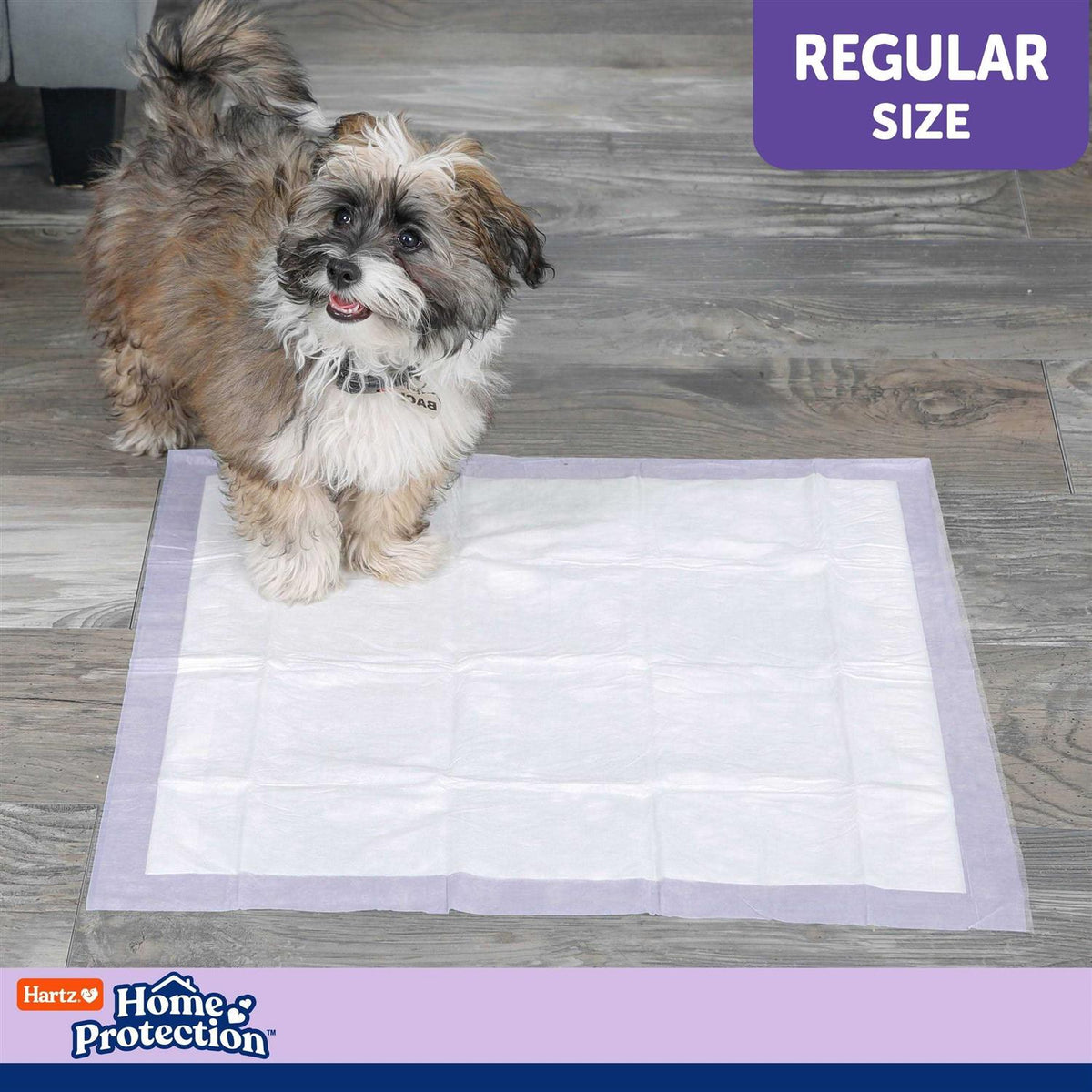 Lavender Scent Odor Eliminating Dog Pads C438