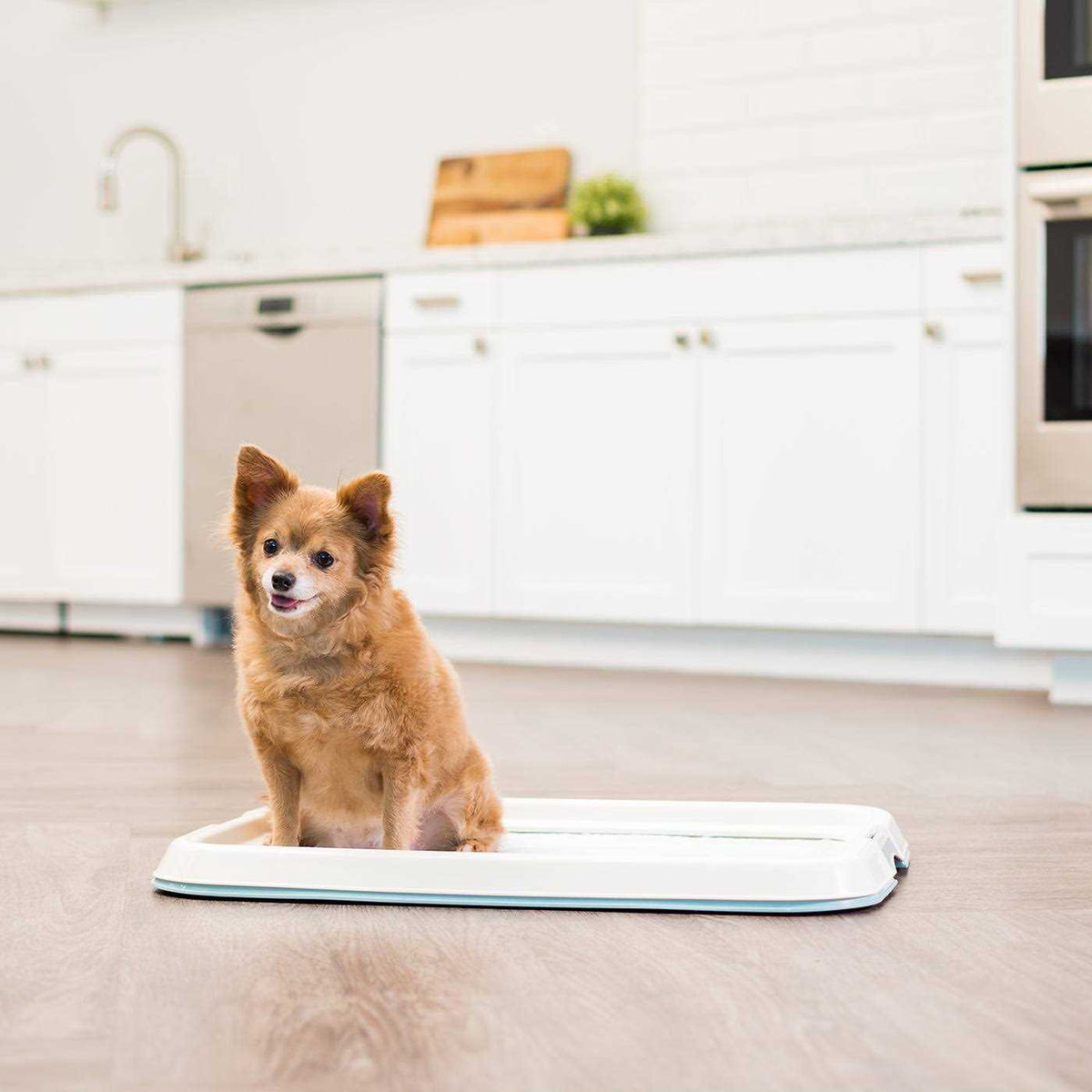 Square Pet Training Pad Holder V605942
