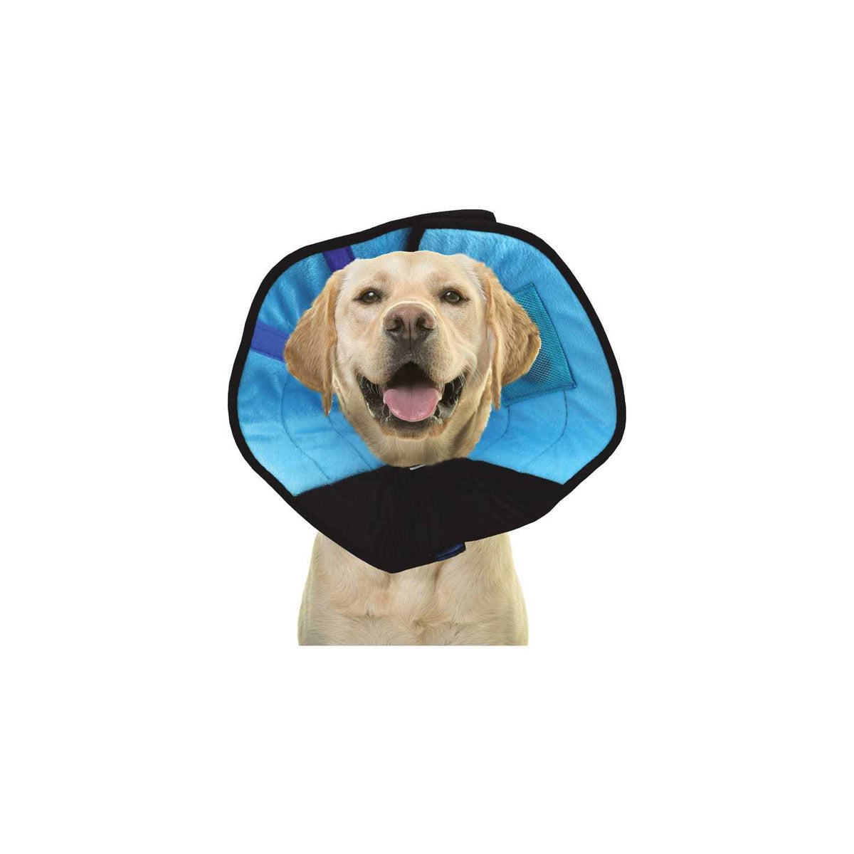 Cat Calming Collar S387167