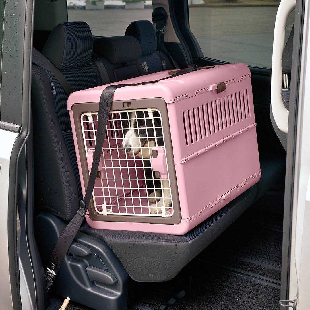 Foldable Pet Carrier Q564