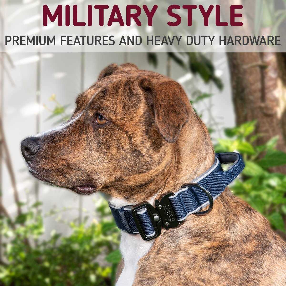 Heavy-Duty Adjustable Dog Collar with Handle T642