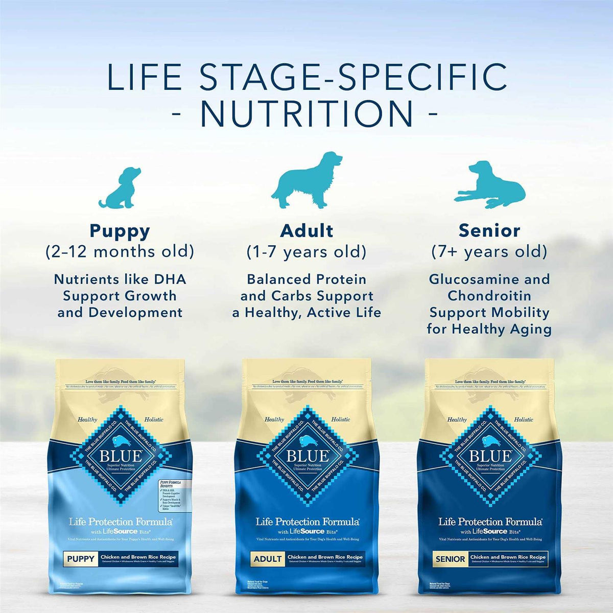 Chicken & Brown Rice Dry Puppy Dog Food X8502