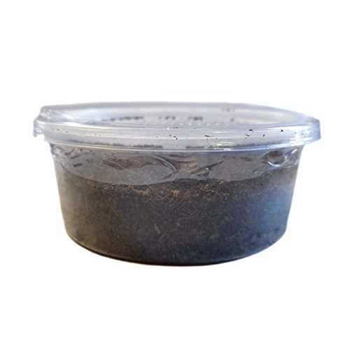 Canadian Nightcrawlers Live Reptile Food, 12 count X540