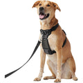 Padded Nylon No Pull Dog Harness O432345